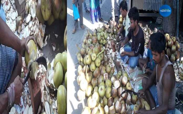 Cooch Behar residents enjoying bihar palm fruits taal saas