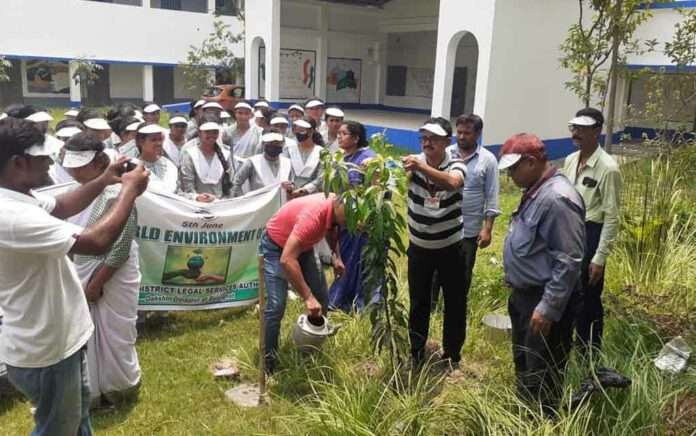 World-Environment-Day-was-celebrated-with-various-programs-including-tree-plantation