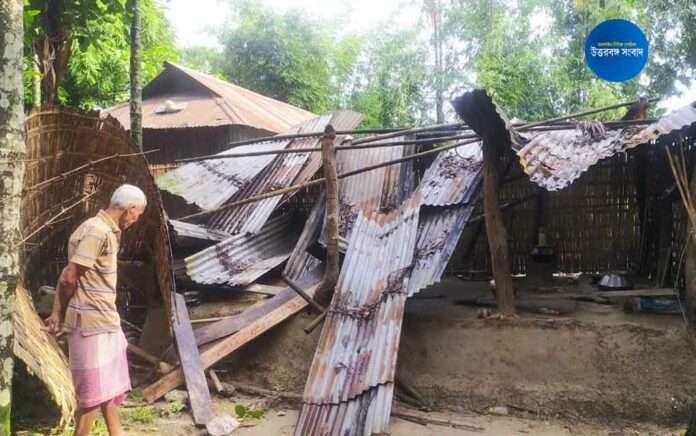 elephant ransacked house at uttar dhupjhora