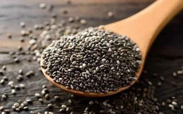 Eating chea seeds everyday will reduce fat Know the rules of eating