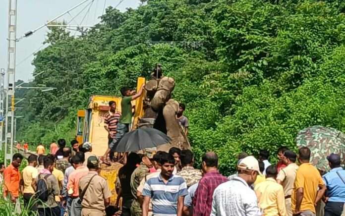 Elephant crushed by freight train in Dooars sanctuary