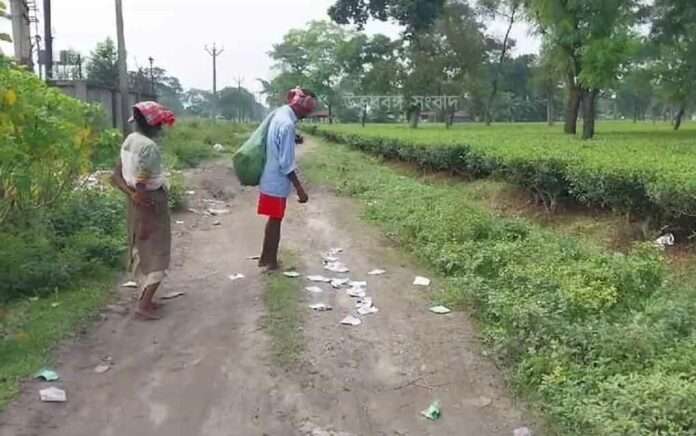 Lots of ration cards scattered on the tea garden streets