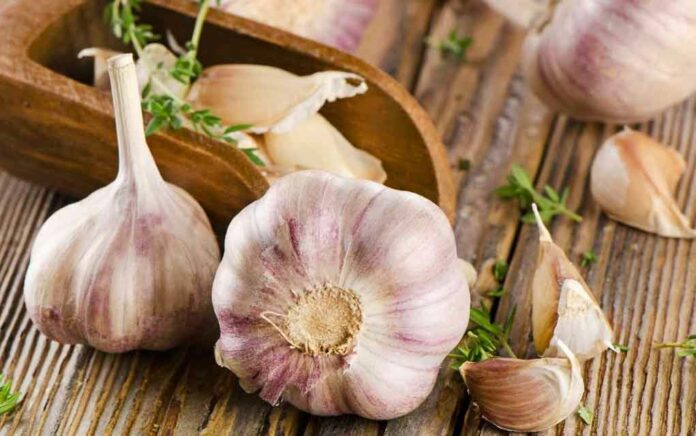 Garlic peels have many benefits, know what they are used for