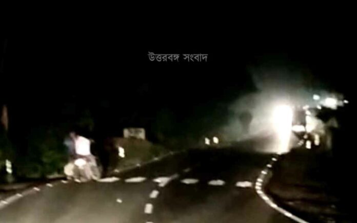 elephant blocked 31 National Highway