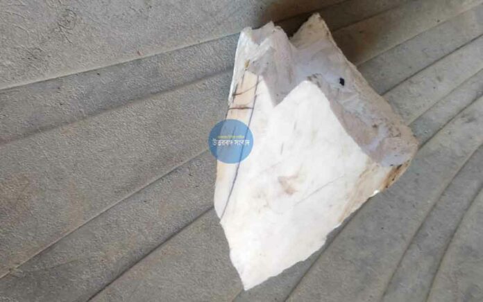 Pieces of ivory found in Panitanki