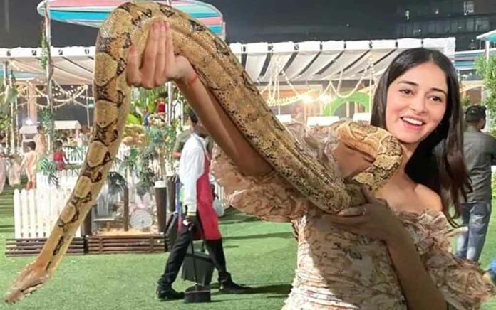 ananya-panday-poses-with-snakes-in ambani party