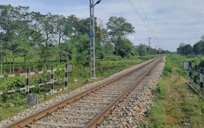 young man died after being hit by a train while doing toilet on railway line