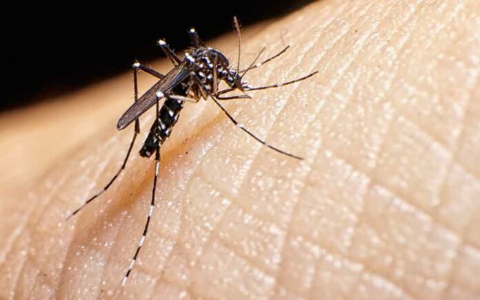 Zika has been found in 7 people, the number of infected is increasing in Maharashtra