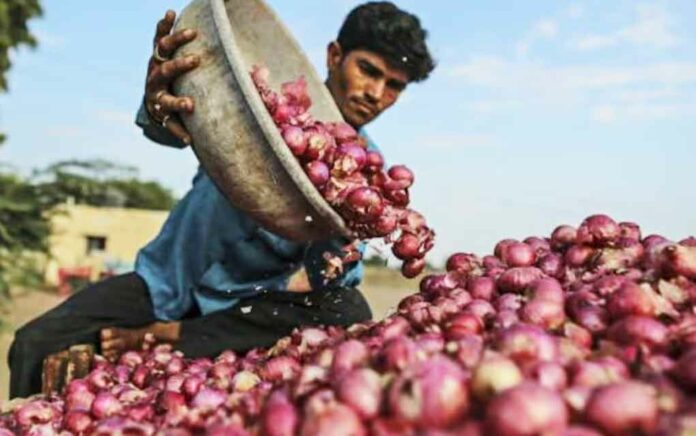 Centre Launches Aggressive Retail Sale Of Onions At ₹ 25 Per Kg