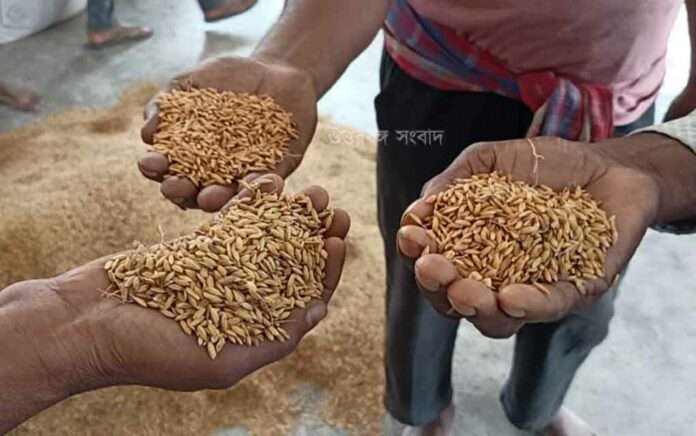 Cut money to sell rice at a subsidized price Farmers in protest