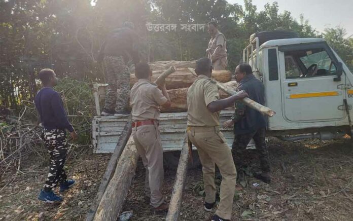 forest department confiscated wood