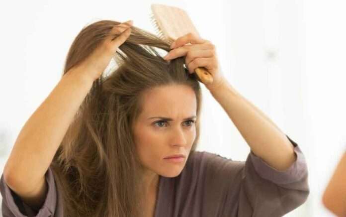 scalp getting itchy in winter Use these 5 oils