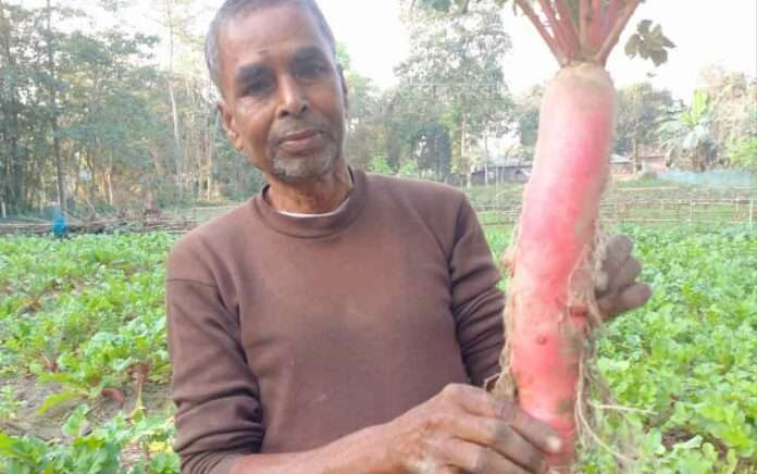 Retired teacher saw profit by cultivating red radish at low cost