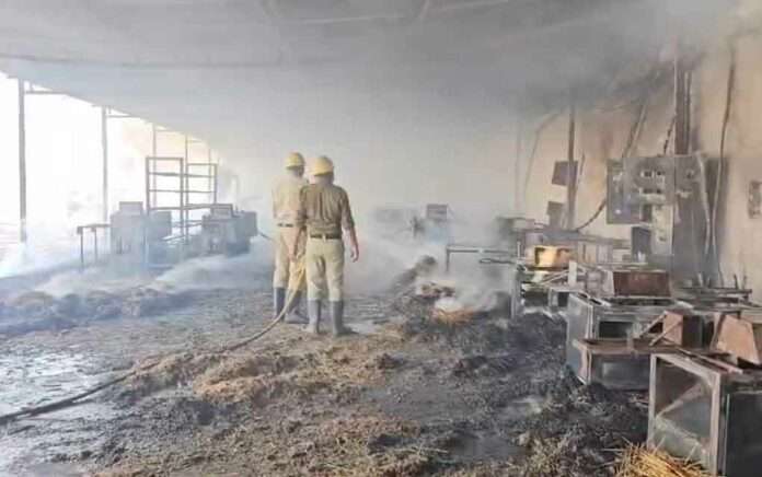 fire in siliguri dhupkathi factory