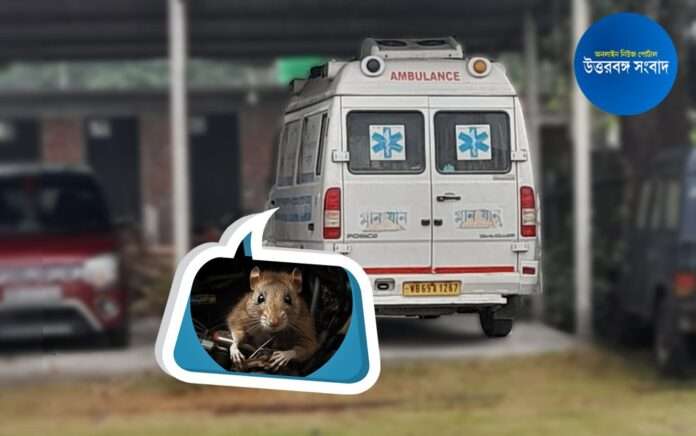 Ambulance cut off the rat 3 people died on the way due to delay