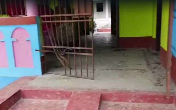 Trinamool leader's house bombed accused BJP