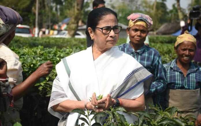 Mamata's assurance, the small tea farmers have left the protest