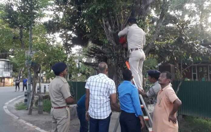police arranged for the birds to drink water by tying pots to the trees