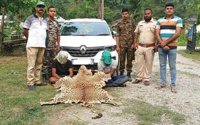 leopard skin recovered, arrest 2