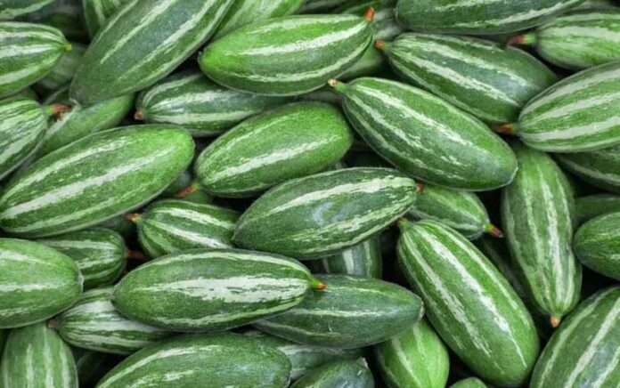 Do you know what qualities have pointed gourd vegetable