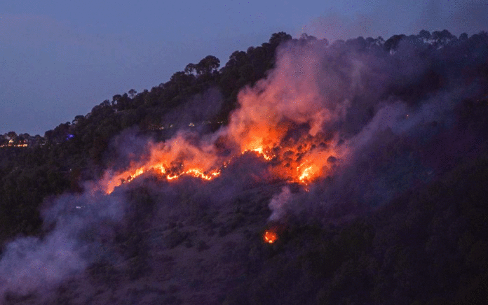 Uttarakhand-Wildfire