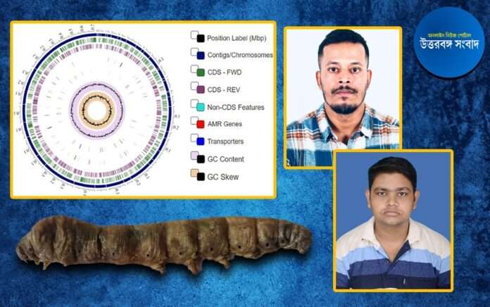 Research of bacterial strains in silkworms in Raiganj University, risk of infection in human body